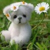 Аватар користувача